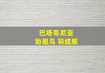 巴塔哥尼亚 始祖鸟 羽绒服